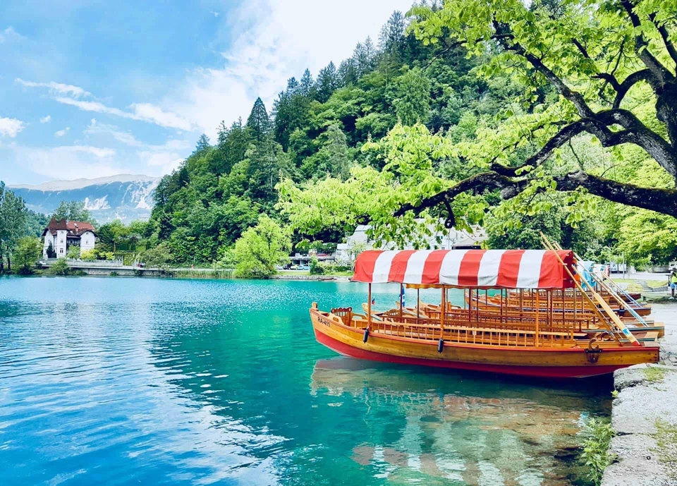 bled 2